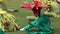 Children group in flower and grass costumes dance magically