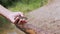 Children Hand Holds a Green Frog Against the Background of a Sandy Riverbank. 4K