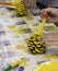 Children hands decorating pine cones with yellow paint in a creative arts and crafts workshop