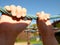 Children hands hold a plastic Climbing Rope In A Outdoor Playground