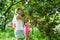 Children harvest cherry fruit