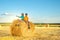 Children have fun  sit  on a haystack on a sunny day in the field
