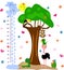 Children height meter with cute birds and monkey. Vector illustration