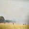 Children herding cattle, Sudan