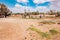 Children herding goats at North Horr Oasis in Marsabit County, Kenya