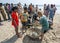 Children inspect the catch of fish made by fishermen off Uppuveliin Sri Lanka.