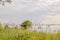 Children kayaking in Summer at Kow Swamp, Victoria Australia