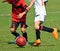 Children kick the ball at a soccer match