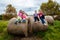 Children Kids Fun Grass Bales Farm