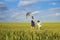 Children with a kite run across the wheat field in the summer. C