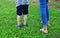 Children legs outdoors in grass