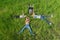 Children lying on the grass, happy and joyful brothers and sisters, top view