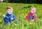 Children on meadow dandelion