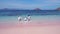 Children and mother running on Pink Beach