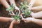 Children and parent holding young tree in hands for planting