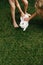 Children petting a white furry bunny rabbit on a green lawn