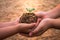 Children planting forests to reduce global warming.