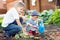 Children planting strawberry seedling into fertile soil outside in garden