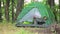 Children play in a green tent, set in a clearing in the forest. Close the grid in the tent.