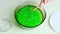 Children play with a green witchcraft potion, make slime in a glass bowl, the concept of a holiday, children`s party, chemical
