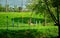 A children playground inside the green grass