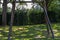 Children playground with swings with wooden poles surrounded by green vegetation