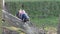 Children playing on fallen tree trunk