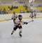 Children playing hockey