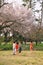 Children playing in the park