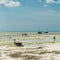 Children playing on the shallow near boats, Zanzibar