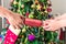 Children pull Christmas cracker near Christmas tree