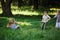 Children pulling the rope outdoors