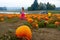 Children in a pumpkin patch next to a lake