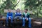 Children resting on bench in pine forest