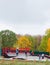 Children ride bicycles, skateboards, scooters in roller park in autumn