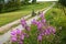 Children riding bikes country lane flowers