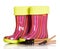 Children rubber boots with fabric inset, shovel and rake isolated.