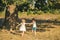 Children run on field. Happy kid on summer field. Eco resort activities. Carefree childhood.