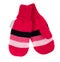 Children`s autumn-winter mittens