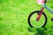 Children\'s bicycle on green grass