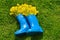 Children's blue rubber boots with yellow flowers lie on the green grass