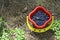 Children\'s bucket with blueberries.