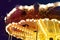 Children`s carousel is decorated with multicolor lights, decorations, a fairground ride with horses for children, the concept of