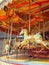 Children`s Carousel Ride