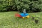 Children`s colorful garden trolley with seedlings, side view