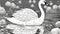 Children\\\'s coloring with a swan, black and white graphics with a curly pattern.
