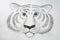 children\\\'s diy graphic drawing with a simple pencil on textured paper - portrait of a tiger\\\'s