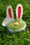 Children`s Easter quest with chocolate eggs in green grass