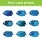 Children\'s educational game. Find two same pictures. Set of fish for the game find two same pictures. Vector illustration.