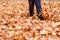 Children`s feet on autumn foliage